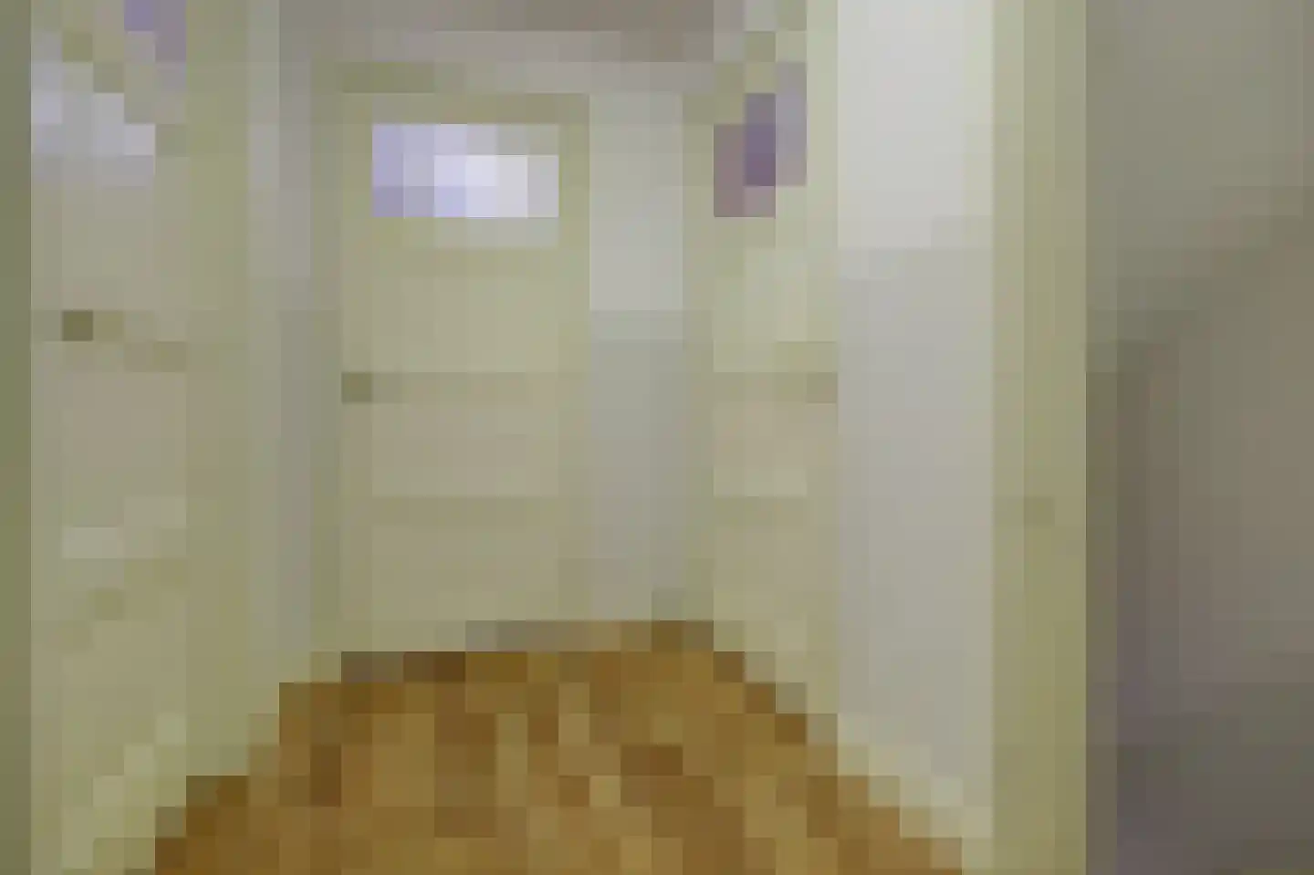 Tongelresestraat 283 Eindhoven thumbnail 22