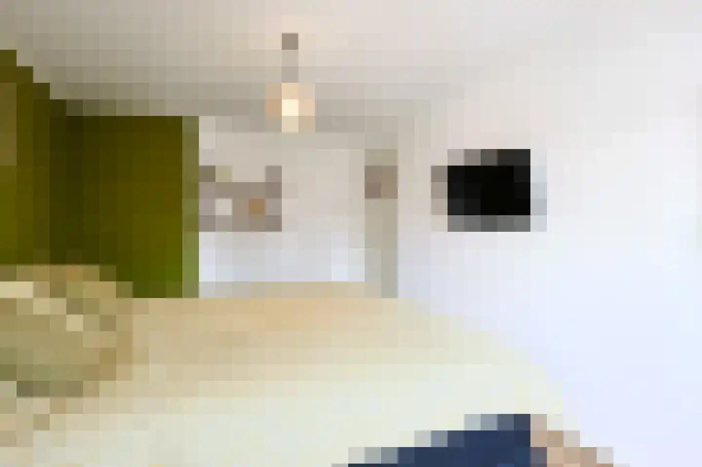 Tongelresestraat 283 Eindhoven thumbnail 29