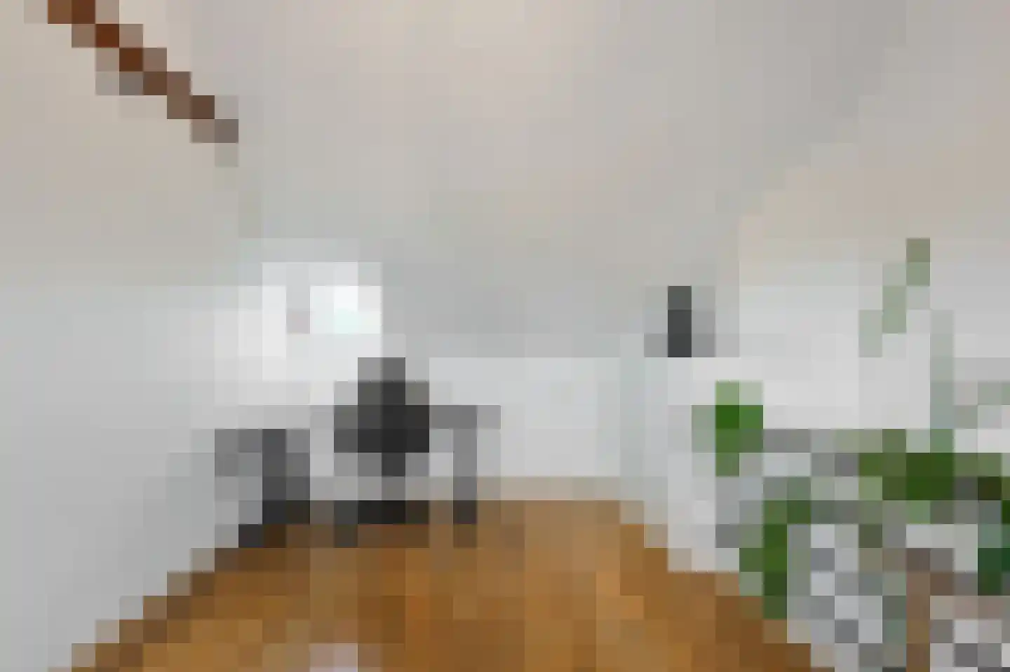 Tongelresestraat 283 Eindhoven thumbnail 37