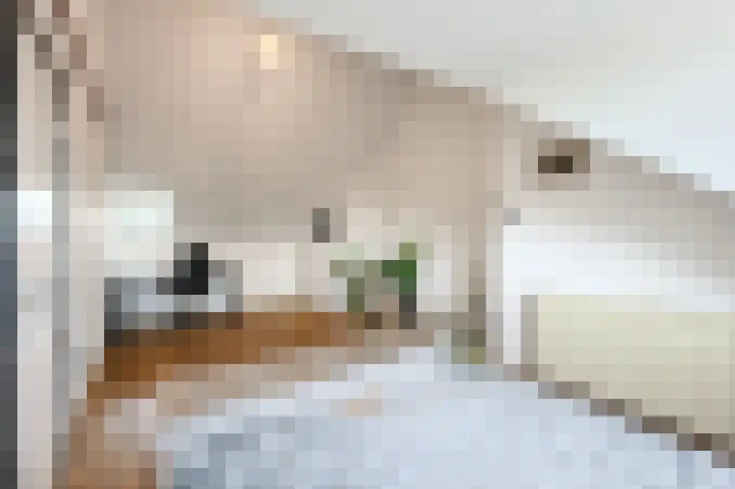 Tongelresestraat 283 Eindhoven thumbnail 38