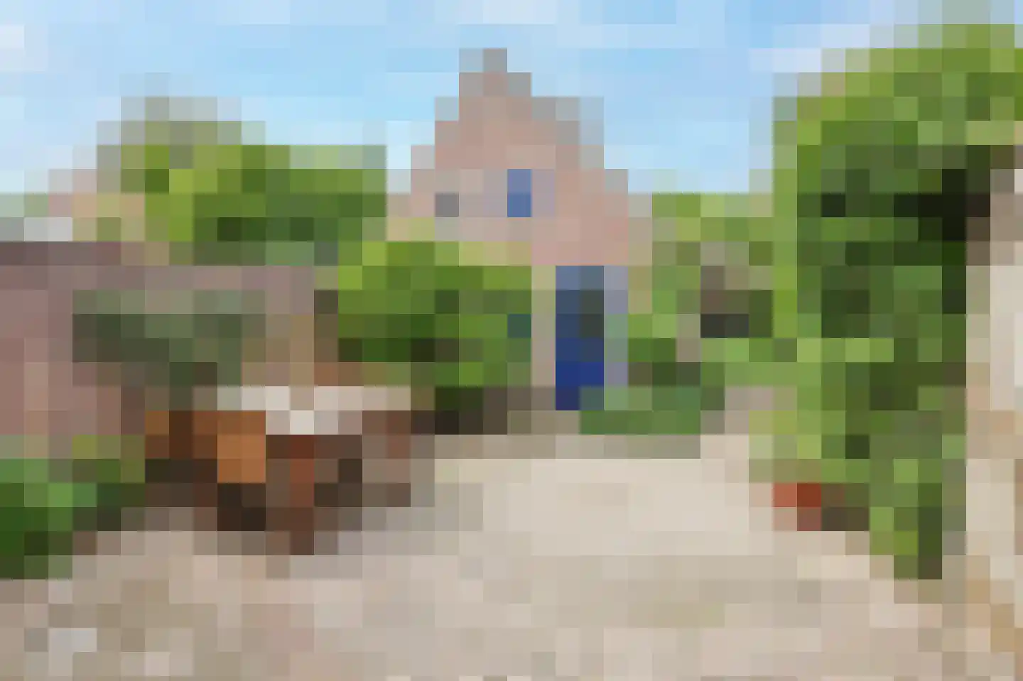 Tongelresestraat 283 Eindhoven thumbnail 43