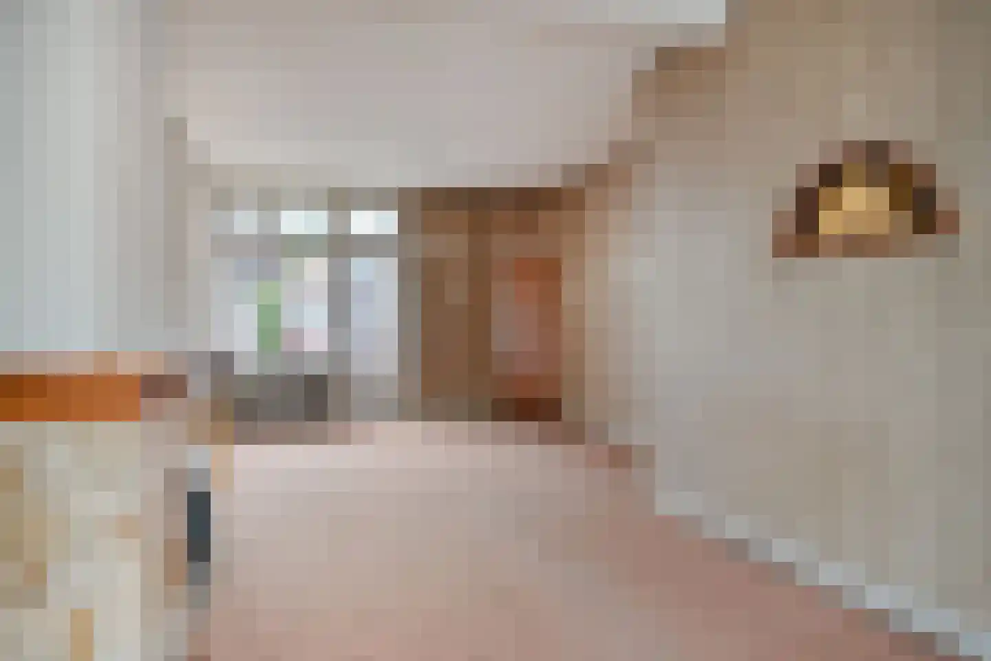 Tongelresestraat 285 Eindhoven thumbnail 12