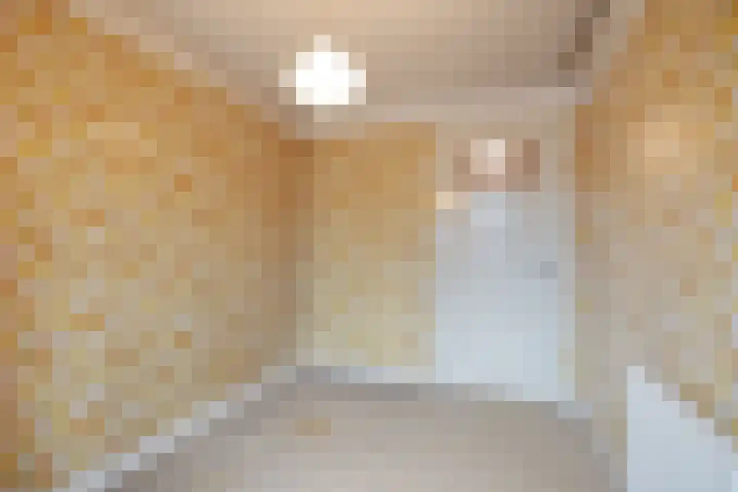 Tongelresestraat 285 Eindhoven thumbnail 24