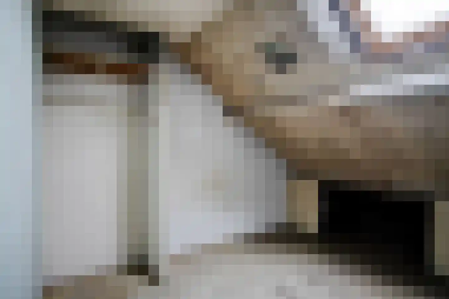 Tongelresestraat 285 Eindhoven thumbnail 32