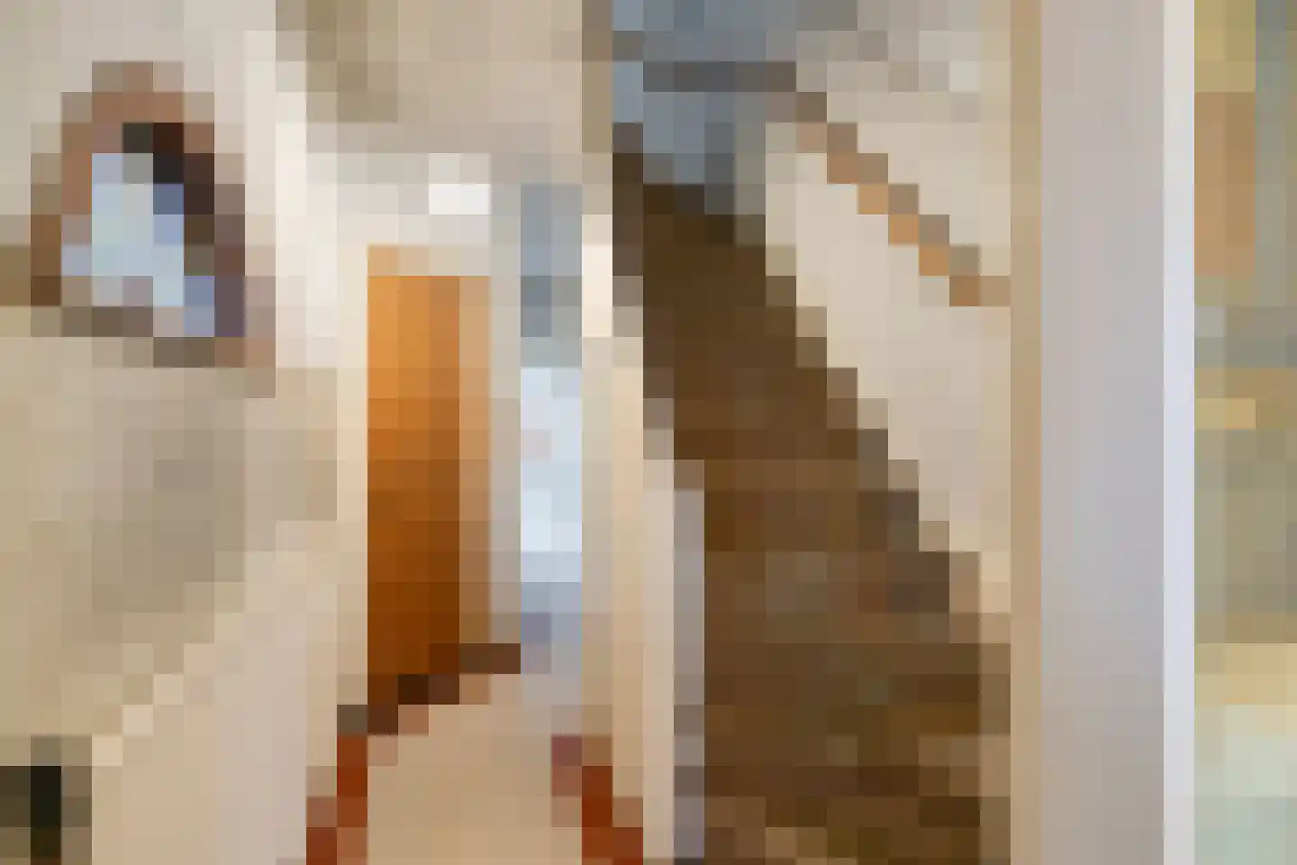 Tongelresestraat 285 Eindhoven thumbnail 6
