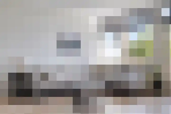 Tongelresestraat 313 C Eindhoven thumbnail 10
