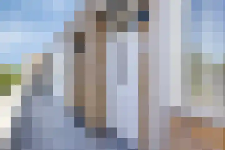 Tongelresestraat 313 C Eindhoven thumbnail 7