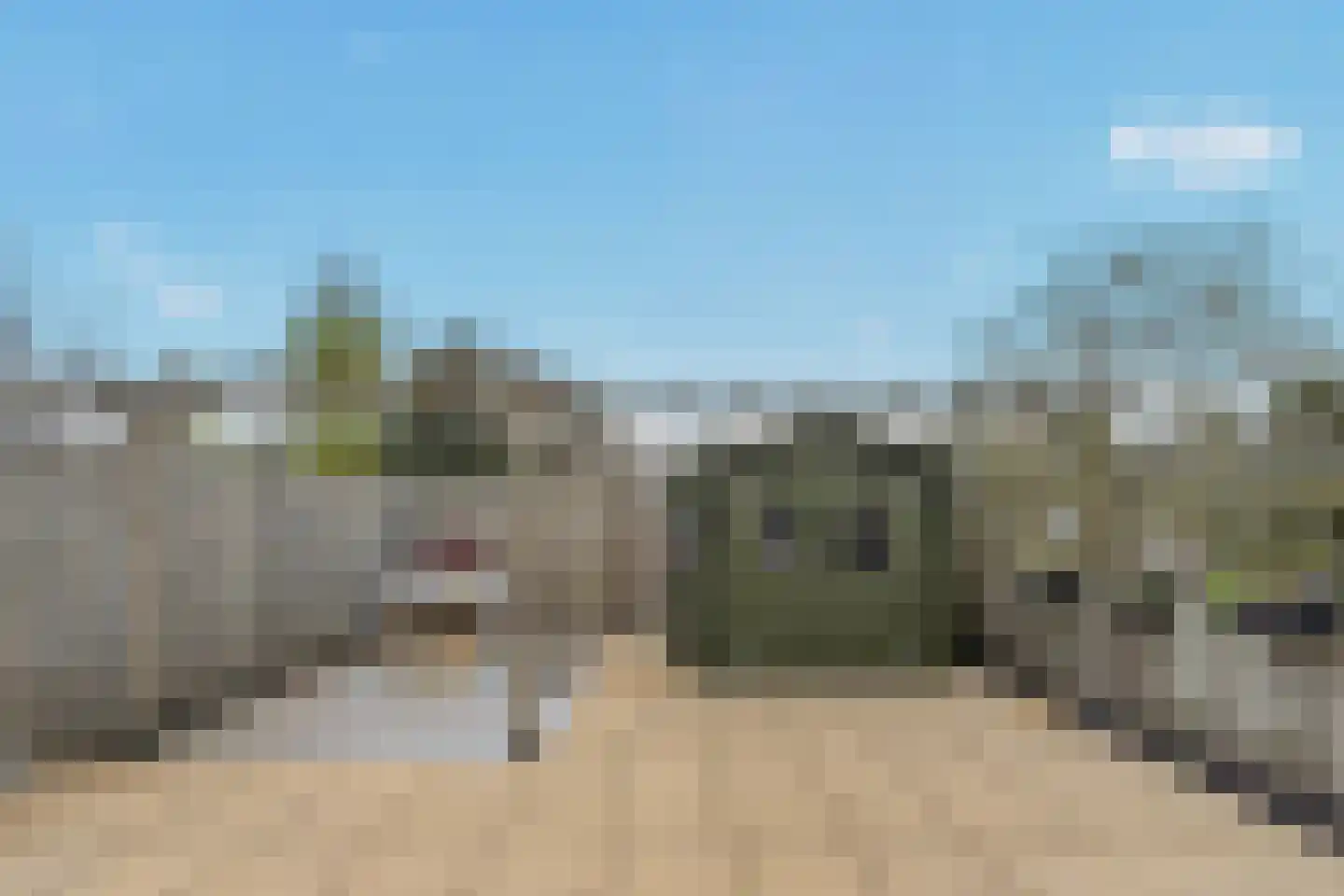 Tongelresestraat 316 B Eindhoven thumbnail 19