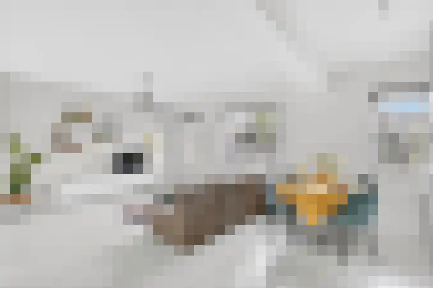 Tongelresestraat 316 B Eindhoven thumbnail 7
