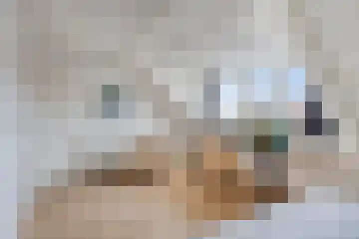 Tongelresestraat 316 C Eindhoven thumbnail 20