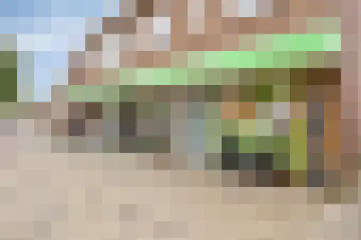 Tongelresestraat 316 C Eindhoven thumbnail 9