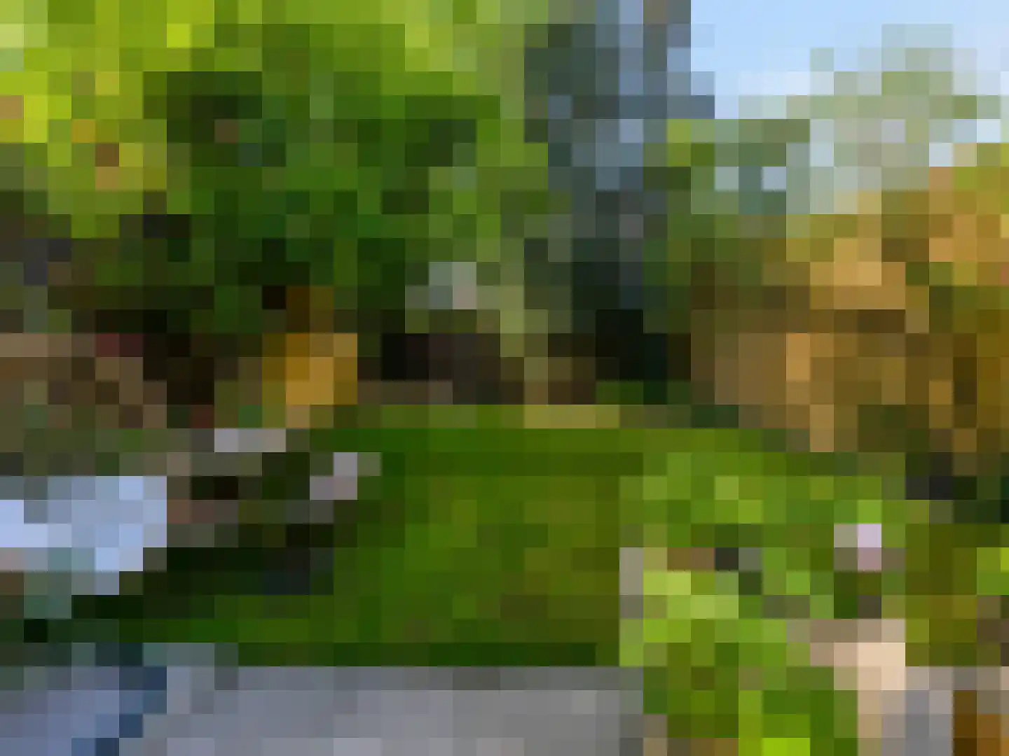 Tongelresestraat 318 Eindhoven thumbnail 20