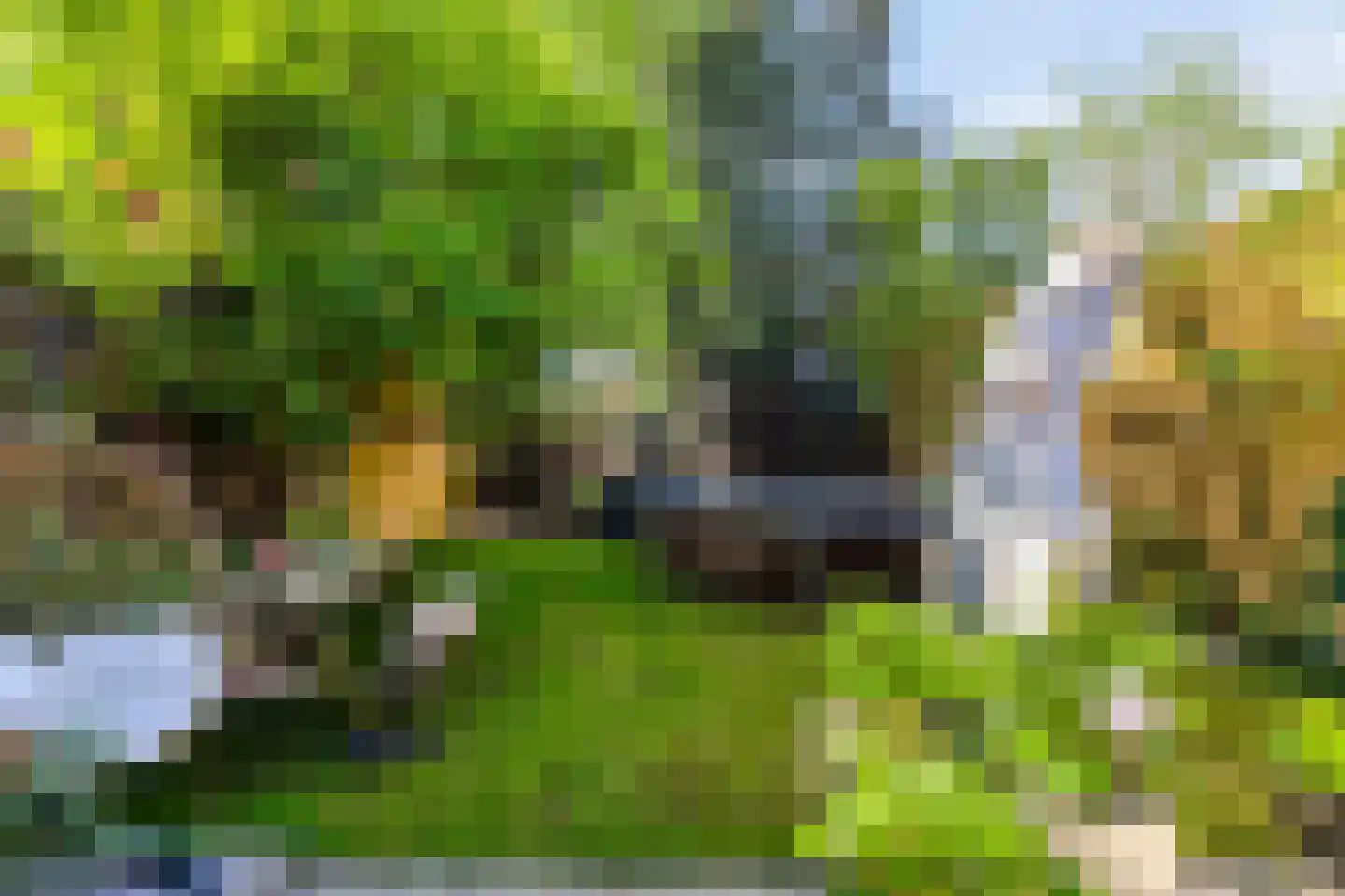 Tongelresestraat 318 Eindhoven thumbnail 20