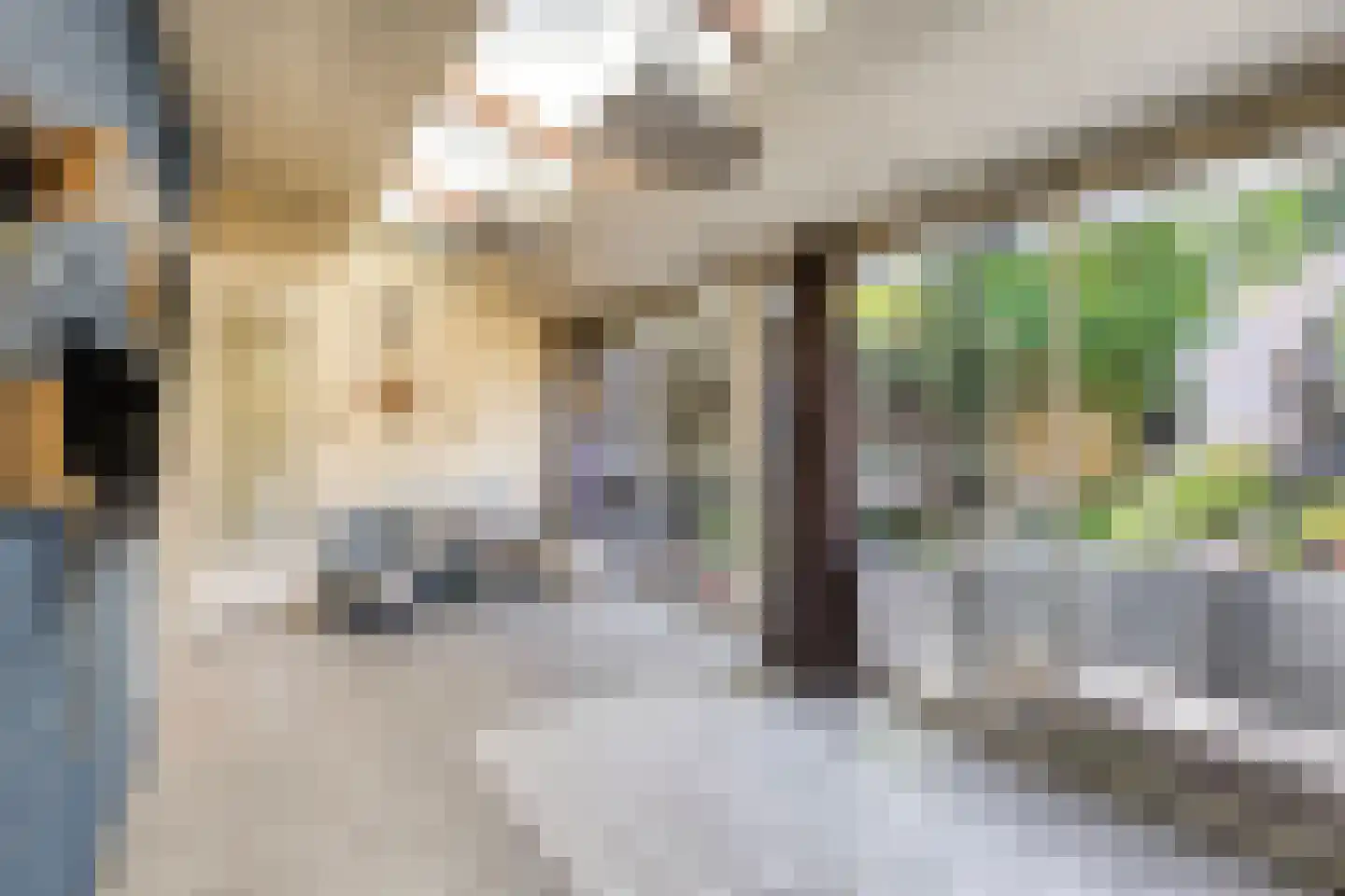 Tongelresestraat 318 Eindhoven thumbnail 9