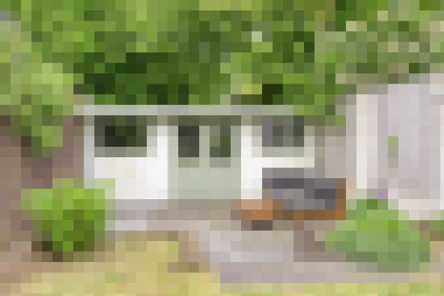 Tongelresestraat 323 Eindhoven thumbnail 23