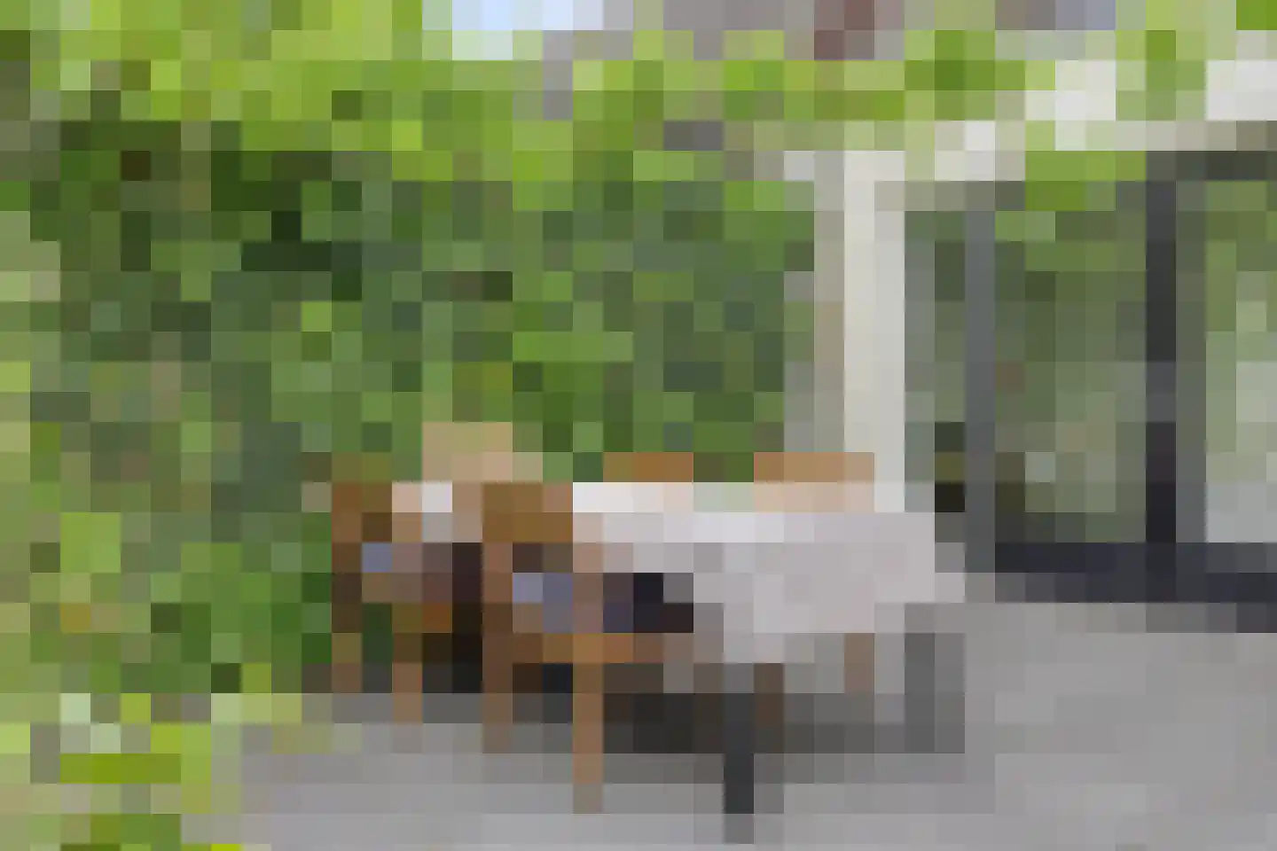 Tongelresestraat 323 Eindhoven thumbnail 26