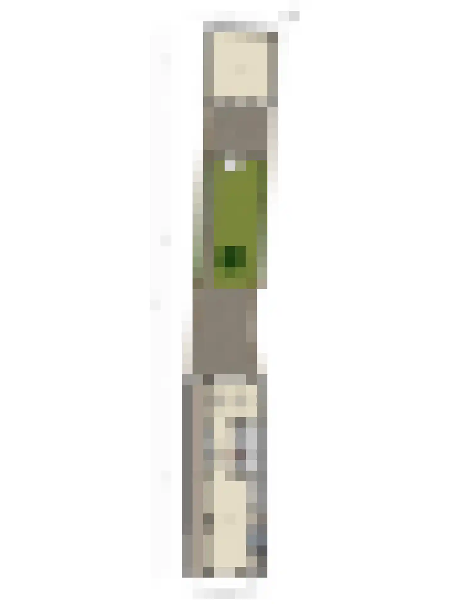 Tongelresestraat 323 Eindhoven thumbnail 33