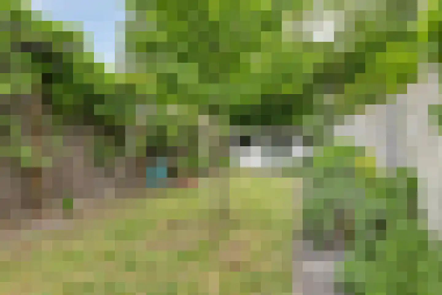 Tongelresestraat 323 Eindhoven thumbnail 4