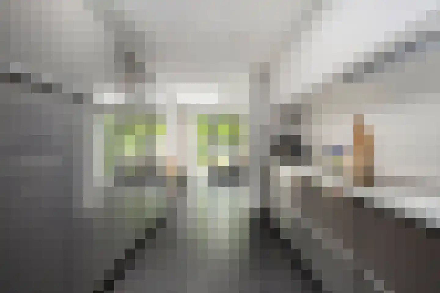 Tongelresestraat 323 Eindhoven thumbnail 8