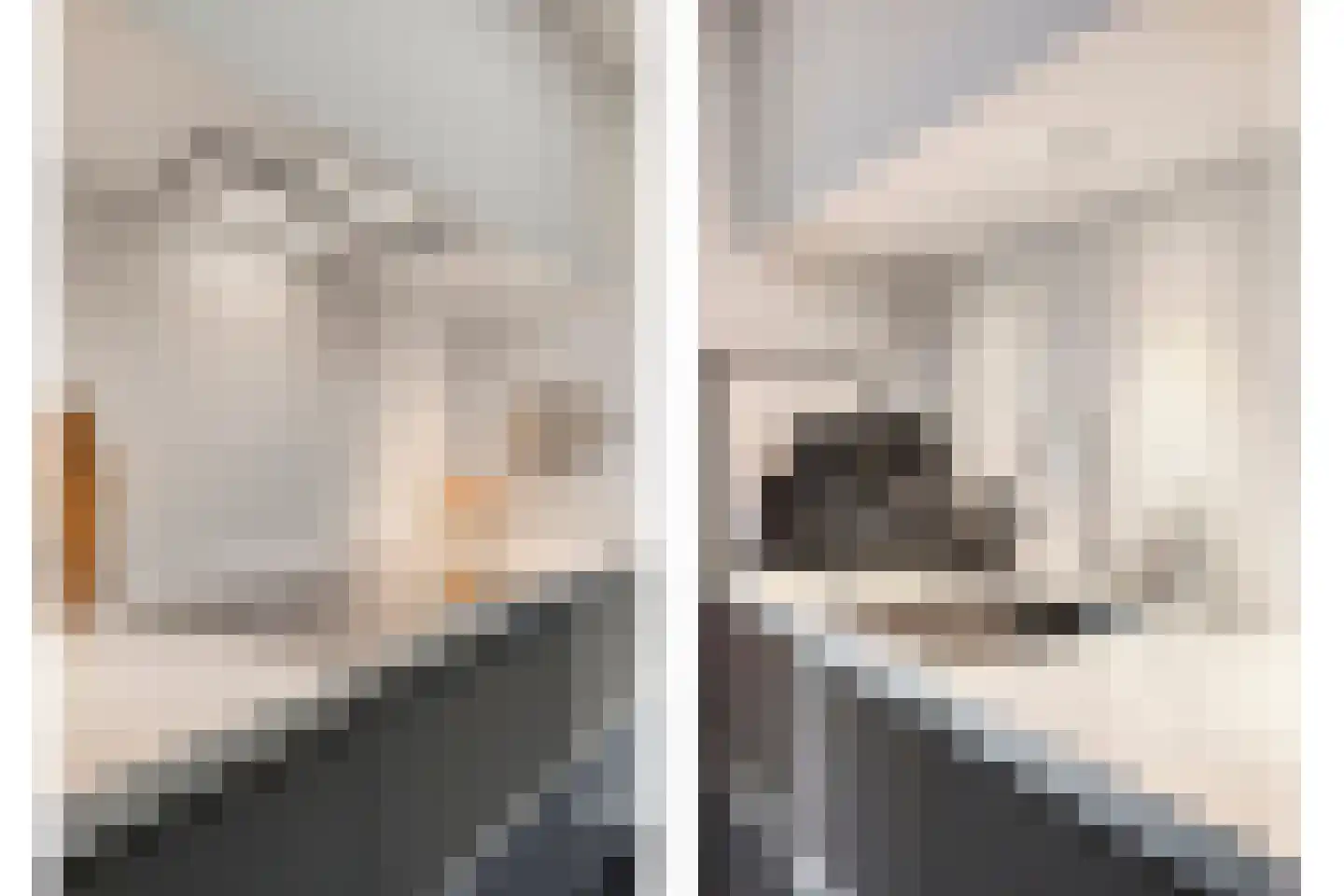 Tongelresestraat 323 Eindhoven thumbnail 9