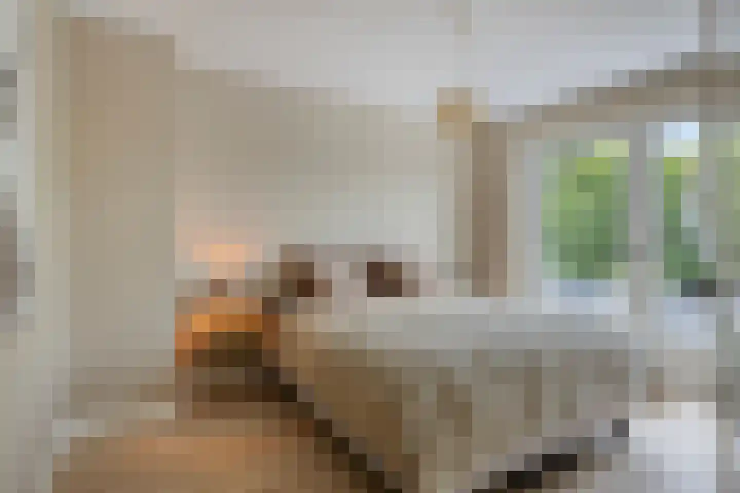 Tongelresestraat 333 Eindhoven thumbnail 22