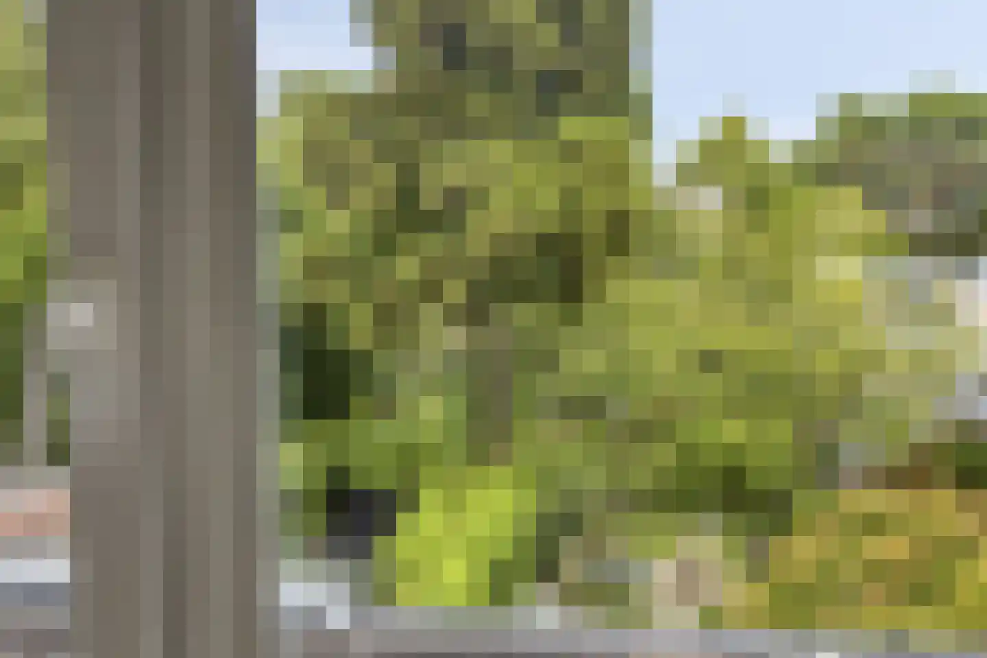 Tongelresestraat 333 Eindhoven thumbnail 23