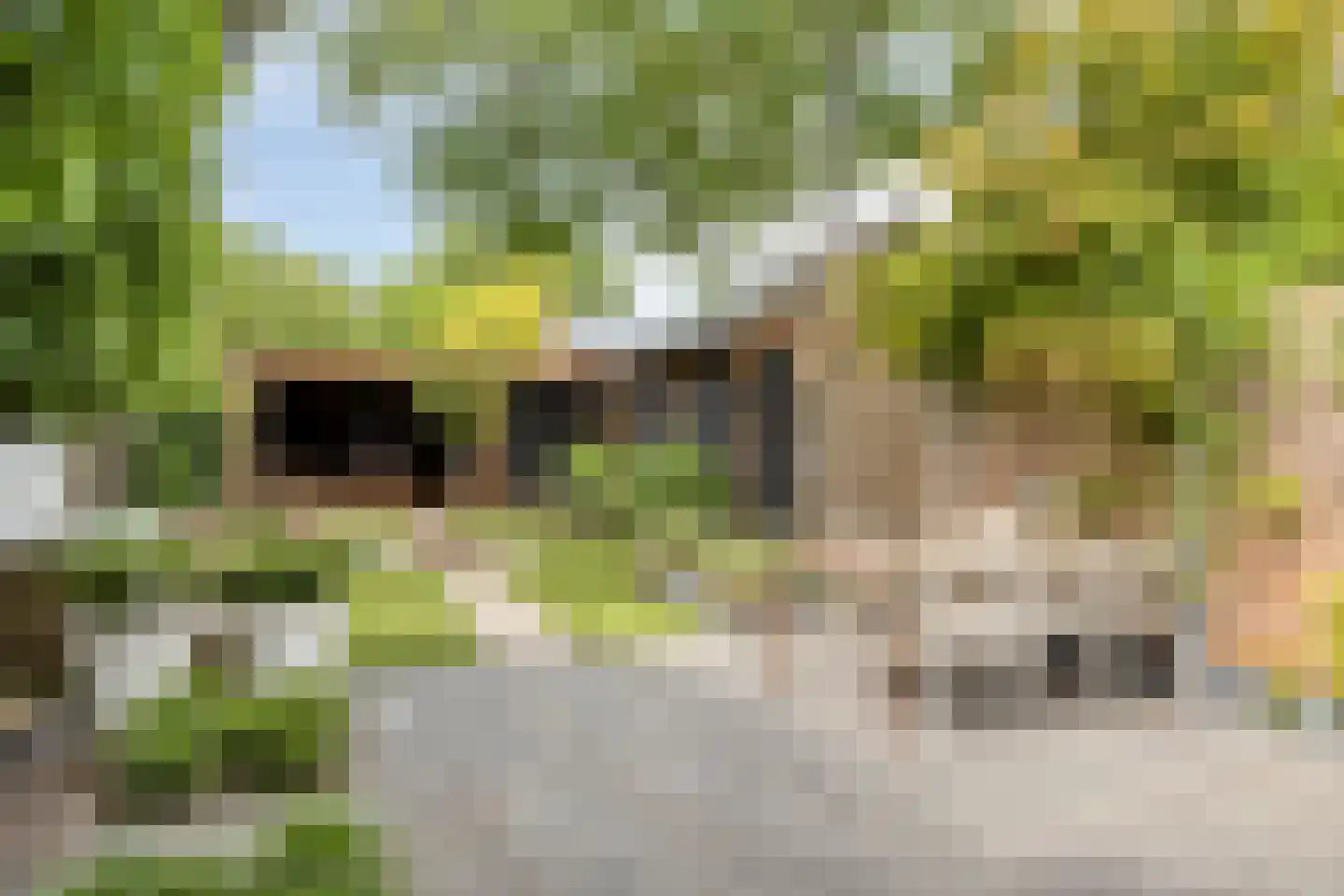 Tongelresestraat 333 Eindhoven thumbnail 33