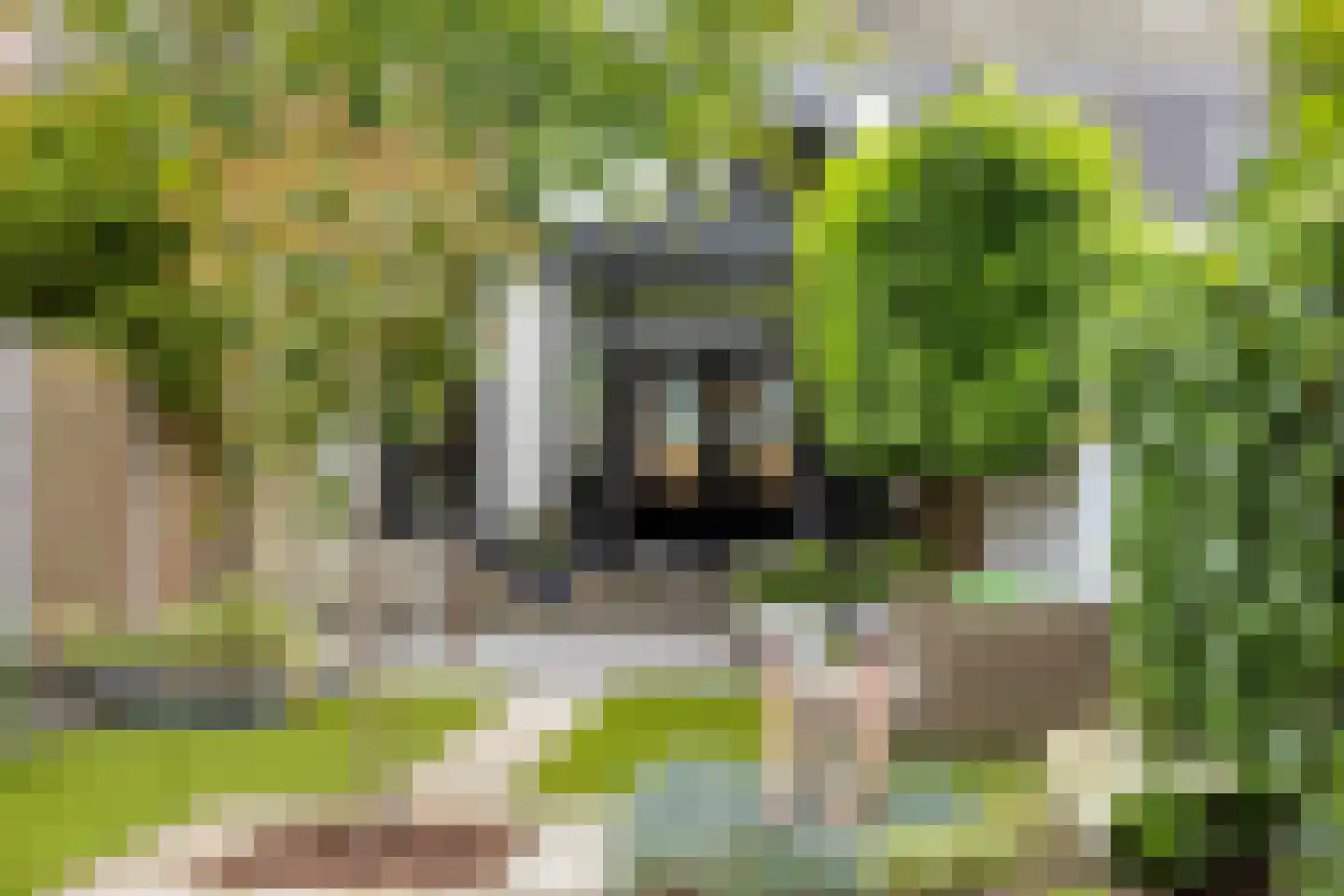 Tongelresestraat 333 Eindhoven thumbnail 34