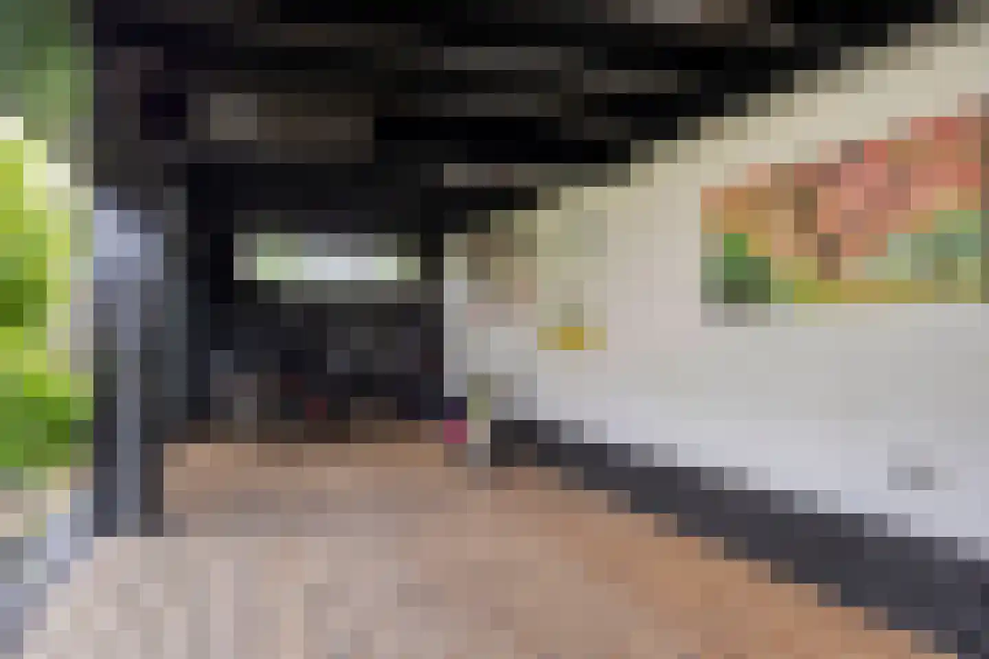 Tongelresestraat 350 A Eindhoven thumbnail 40