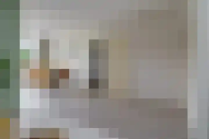 Tongelresestraat 350 Eindhoven thumbnail 15