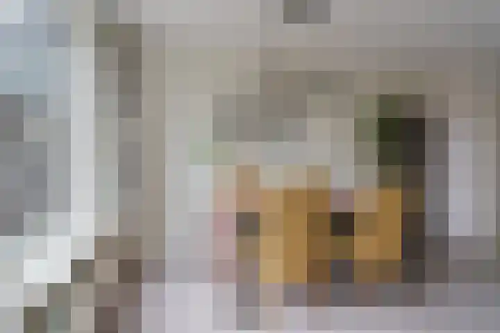 Tongelresestraat 350 Eindhoven thumbnail 18