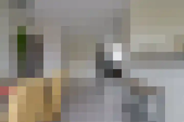 Tongelresestraat 350 Eindhoven thumbnail 20