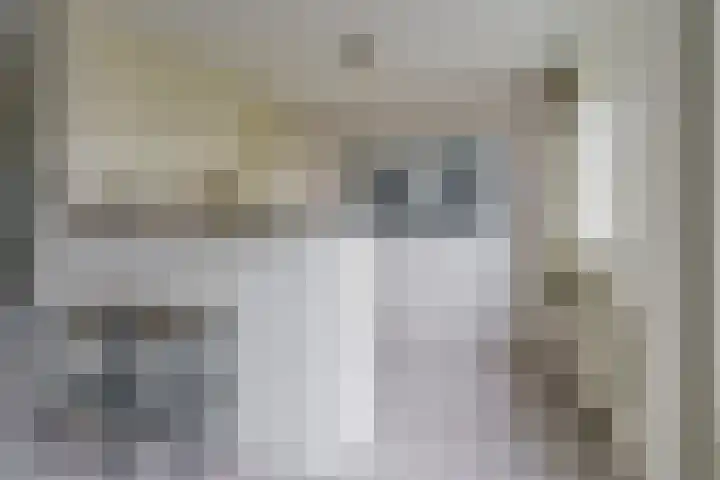 Tongelresestraat 350 Eindhoven thumbnail 21