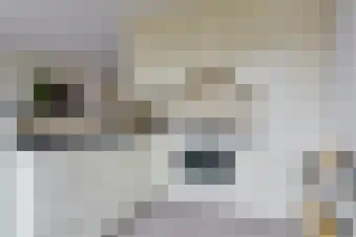 Tongelresestraat 350 Eindhoven thumbnail 22