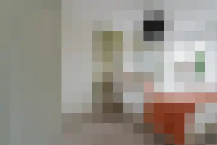 Tongelresestraat 350 Eindhoven thumbnail 25