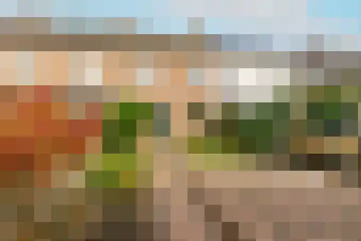 Tongelresestraat 350 Eindhoven thumbnail 48
