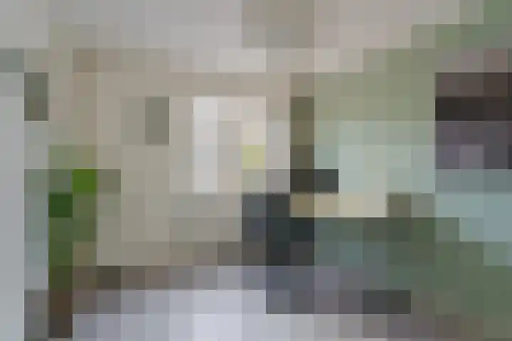 Tongelresestraat 350 Eindhoven thumbnail 5