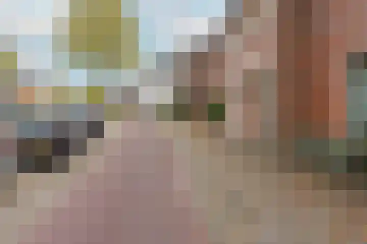 Tongelresestraat 350 Eindhoven thumbnail 8