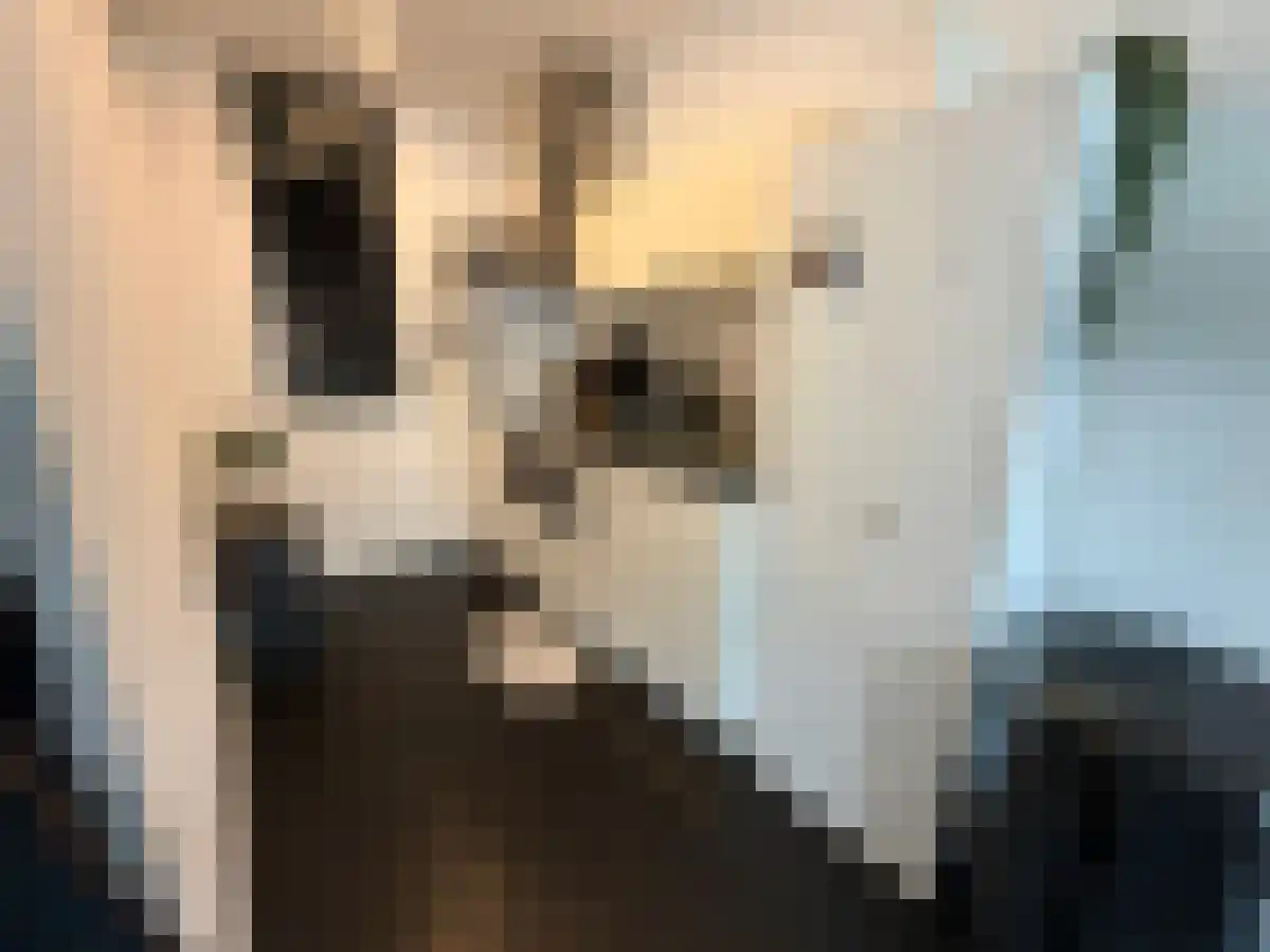 Tongelresestraat 361 Eindhoven thumbnail 4