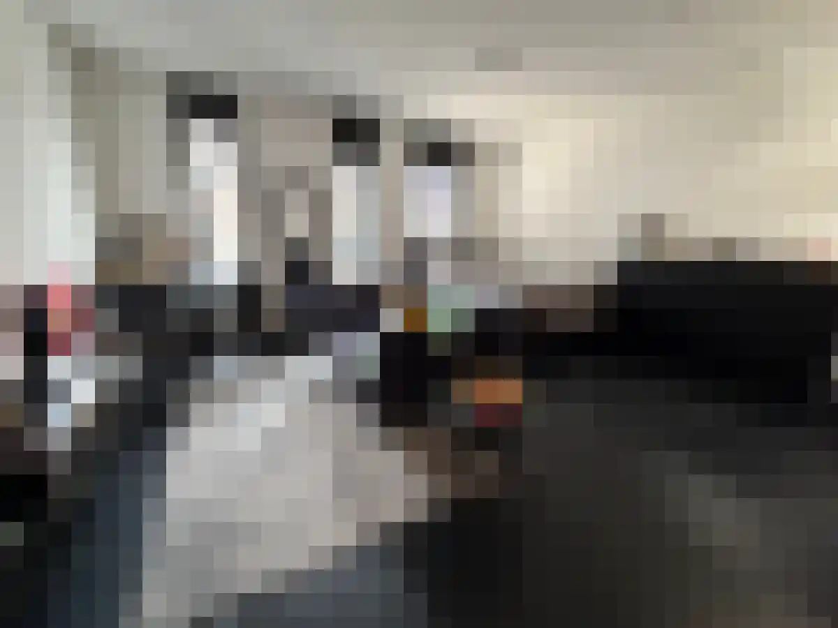 Tongelresestraat 361 Eindhoven thumbnail 5