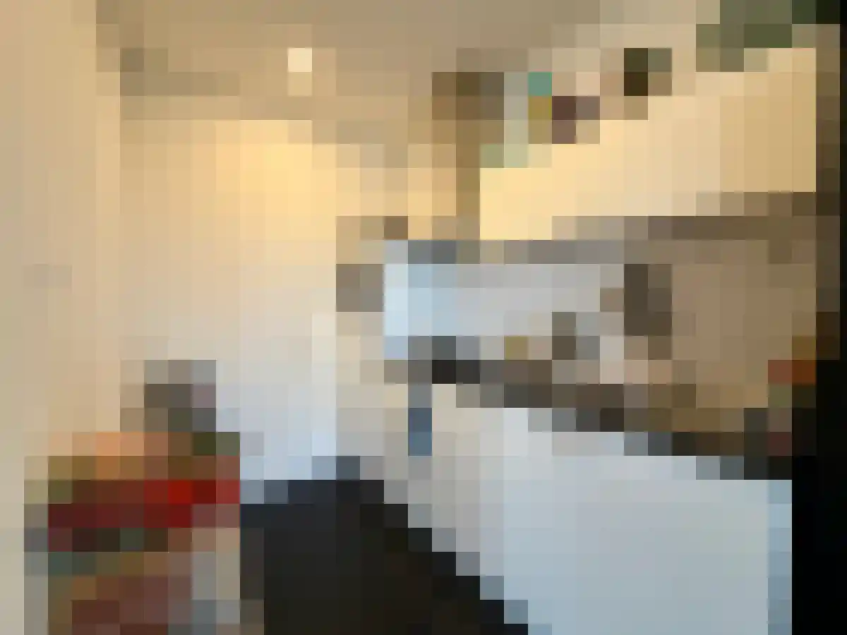 Tongelresestraat 363 Eindhoven thumbnail 5