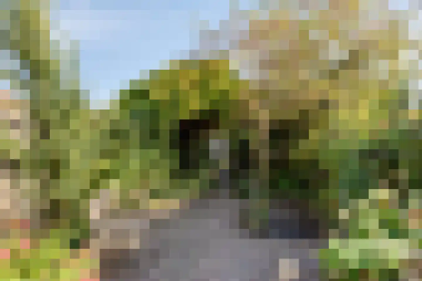 Tongelresestraat 386 Eindhoven thumbnail 32