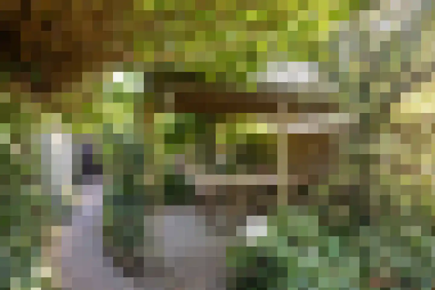 Tongelresestraat 386 Eindhoven thumbnail 33
