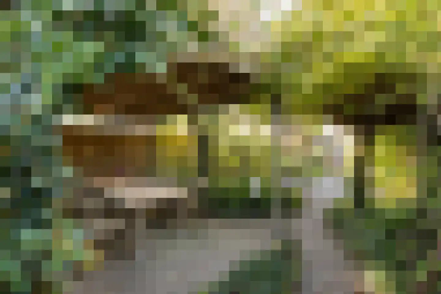 Tongelresestraat 386 Eindhoven thumbnail 34