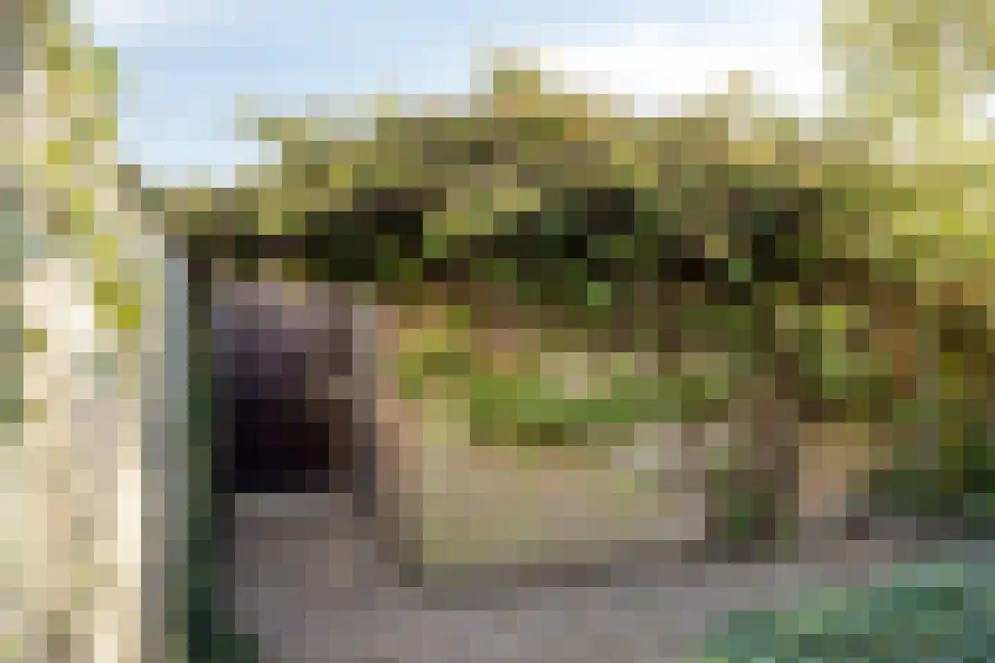 Tongelresestraat 386 Eindhoven thumbnail 35