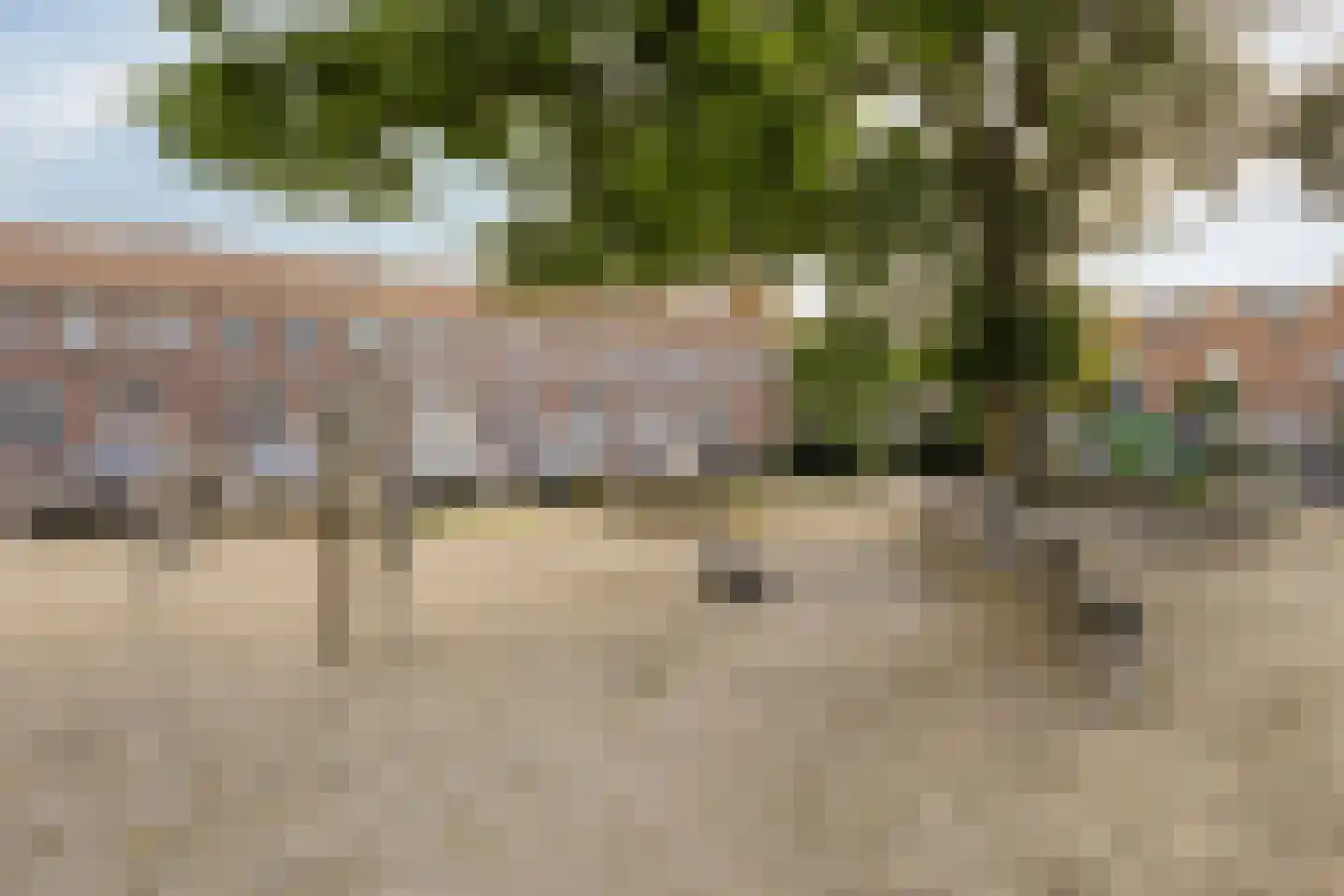 Tongelresestraat 386 Eindhoven thumbnail 41
