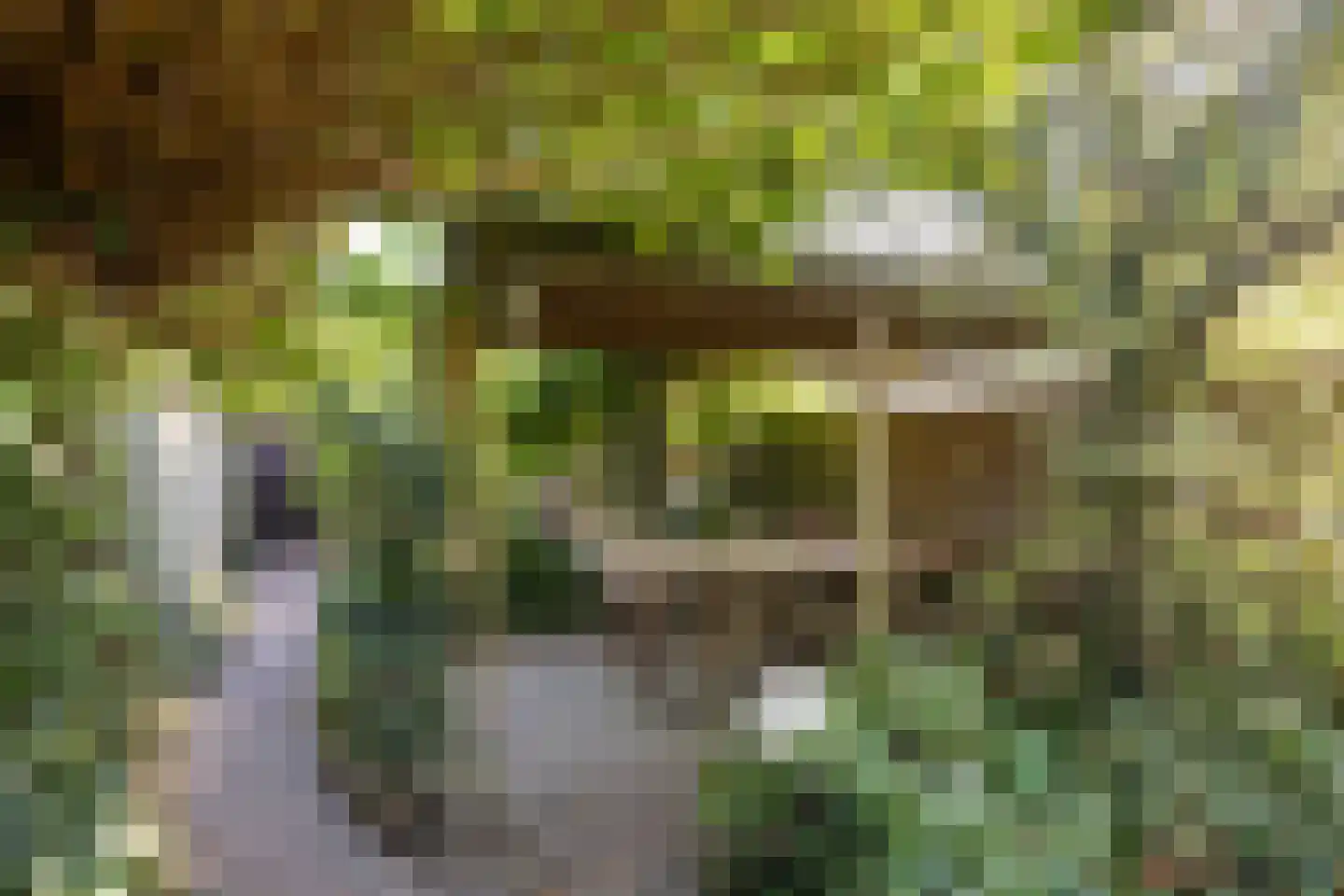 Tongelresestraat 386 Eindhoven thumbnail 6