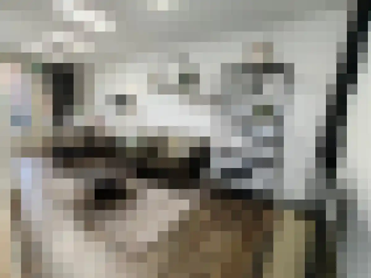 Tongelresestraat 394 Eindhoven thumbnail 4