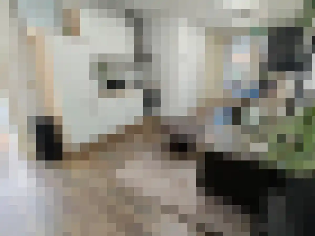 Tongelresestraat 394 Eindhoven thumbnail 5