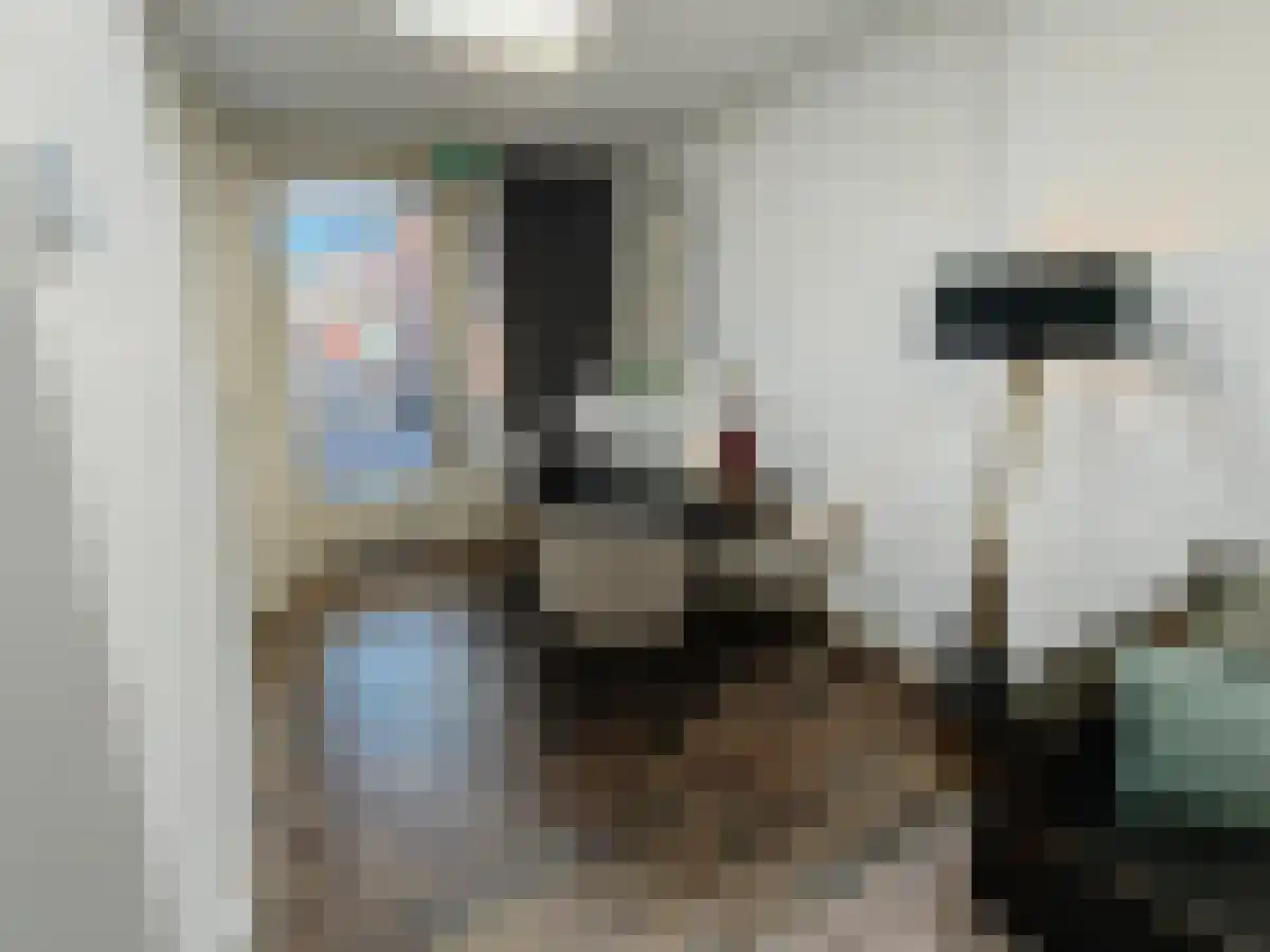 Tongelresestraat 394 Eindhoven thumbnail 6